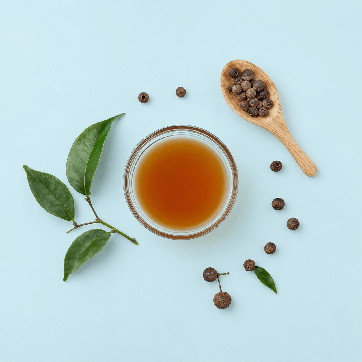 Allspice (Pimenta dioica)