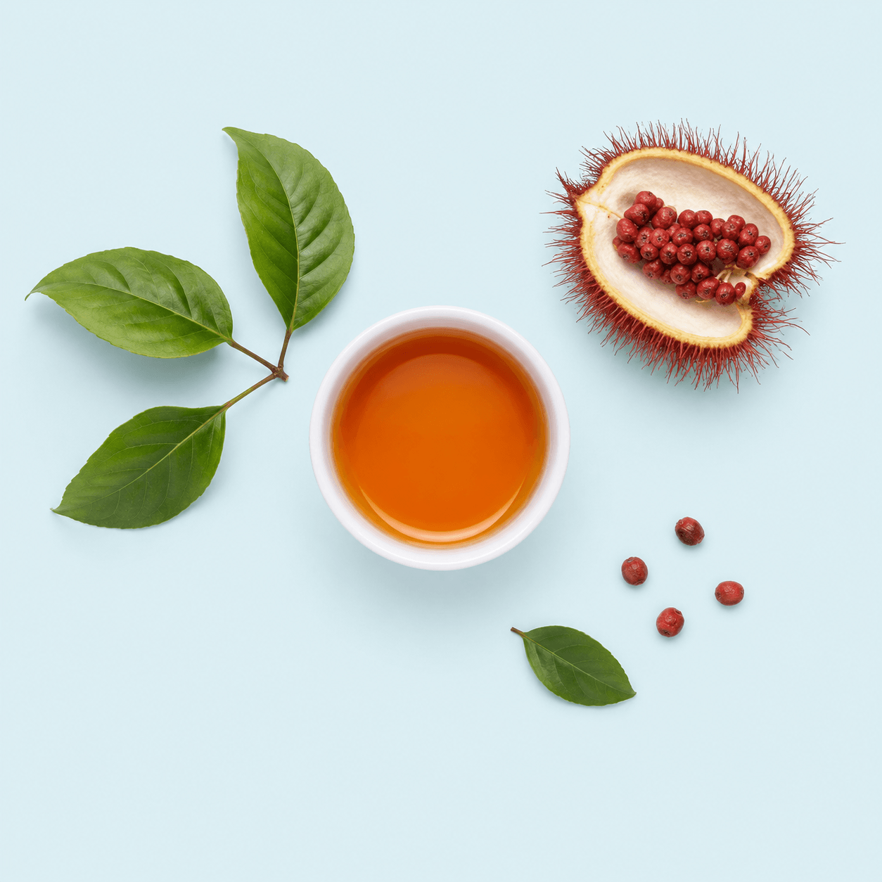 Annatto seed (Bixa orellana)