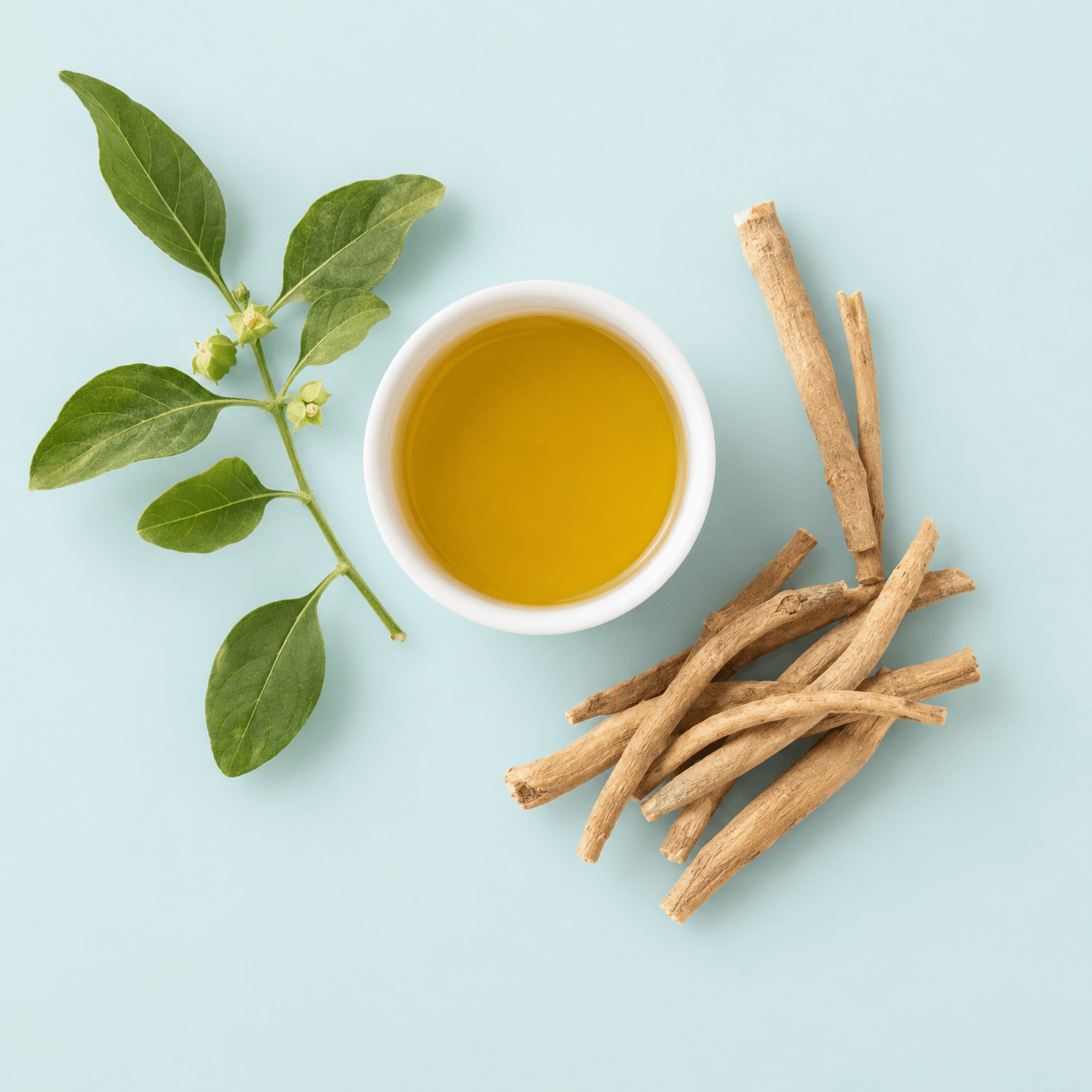 Ashwagandha (Withania somnifera)