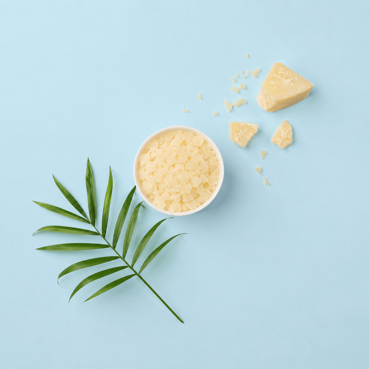 Carnauba Wax - Natural