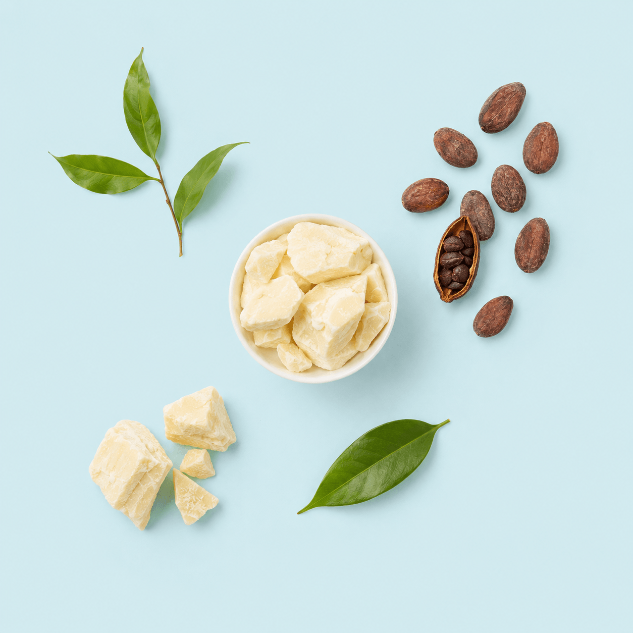 Cocoa Butter - Natural Organic
