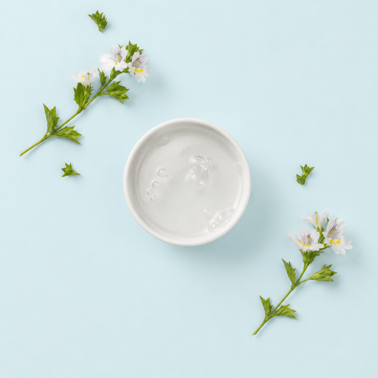 Eyebright — Euphrasia officinalis (agg.)