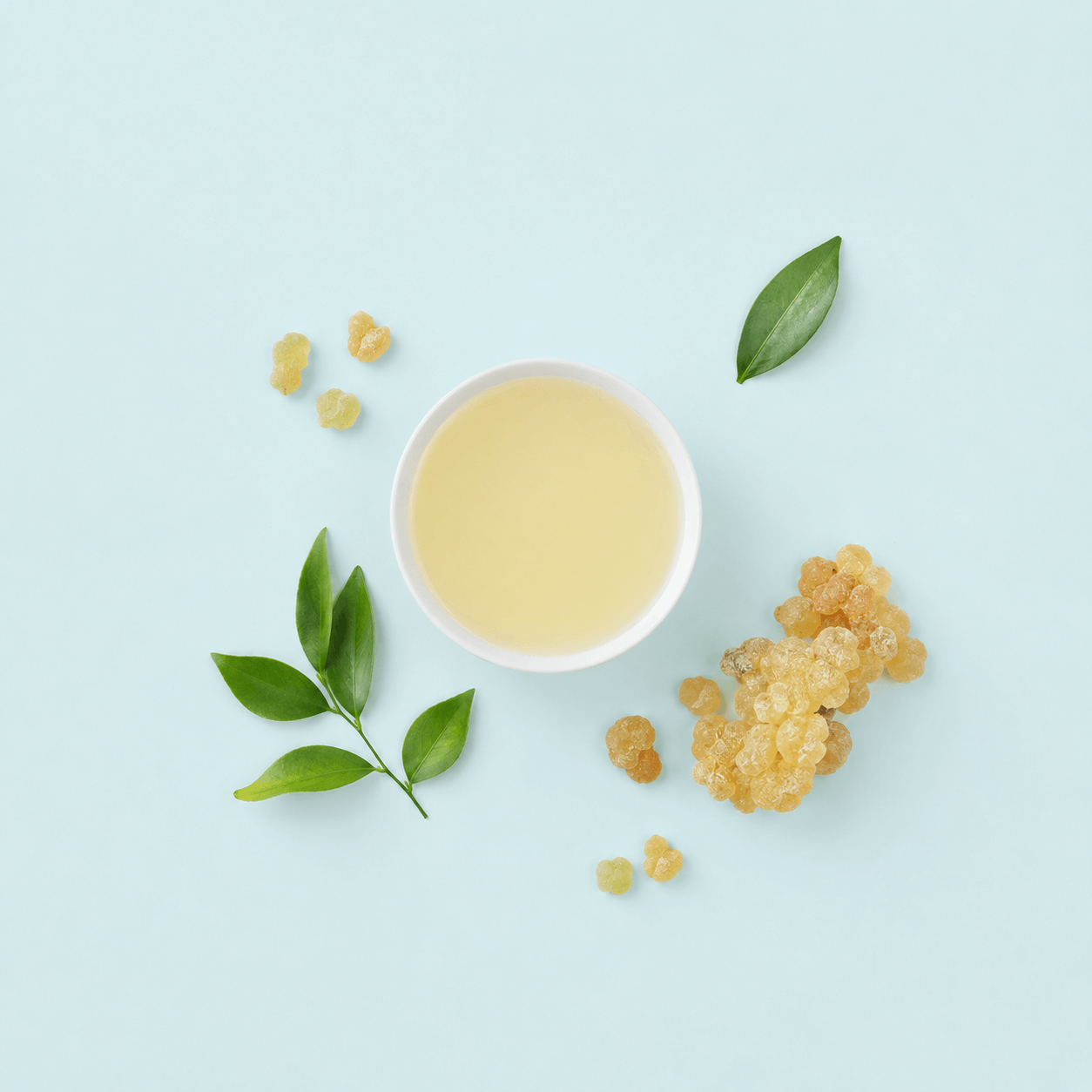 Frankincense — Boswellia serrata (also B. carterii)