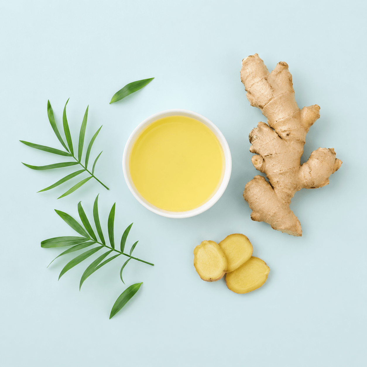 Ginger (Zingiber officinale)