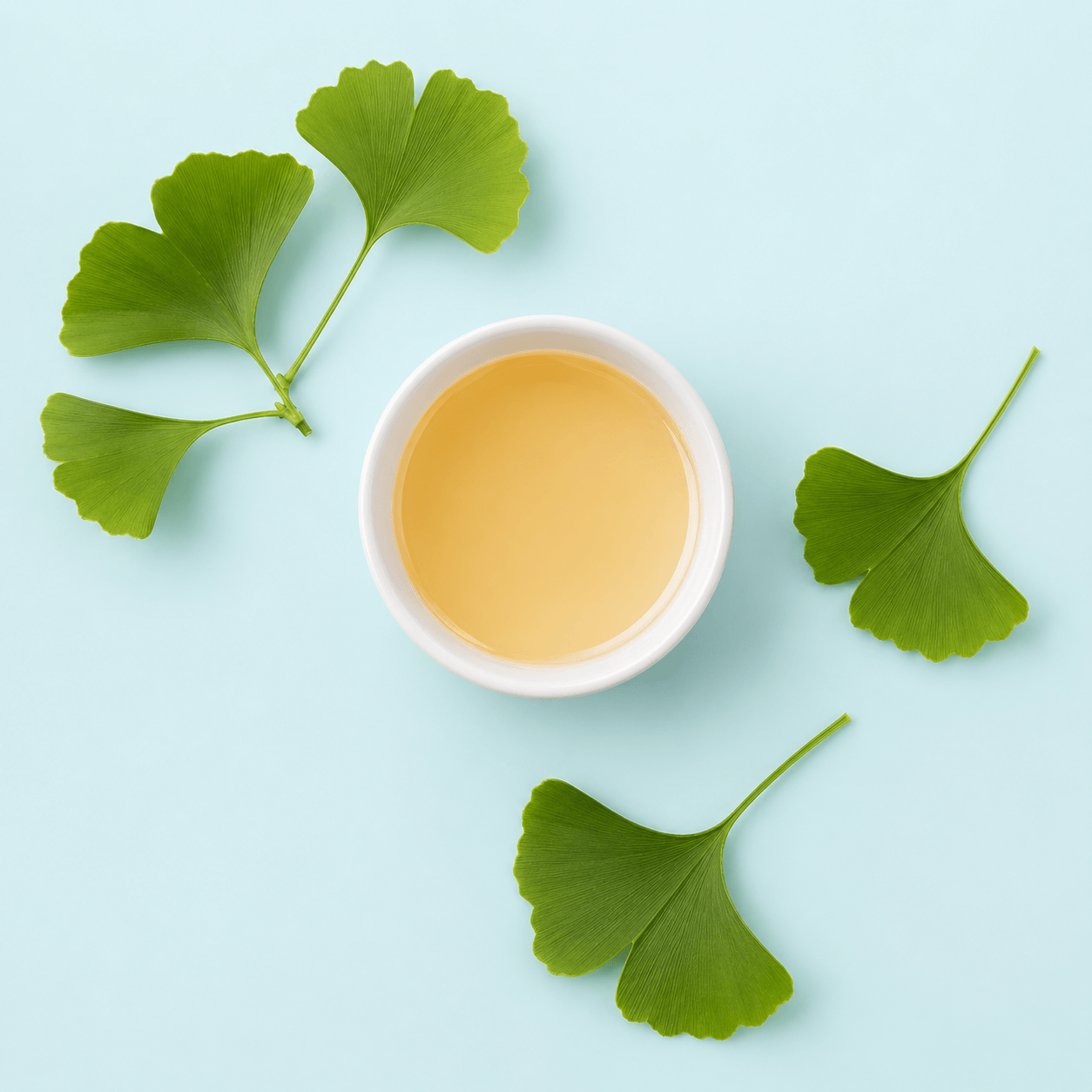 Ginkgo — Ginkgo biloba