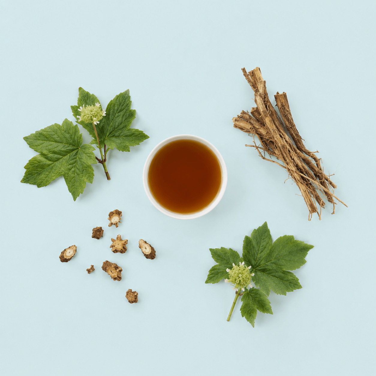 Goldenseal — Hydrastis canadensis