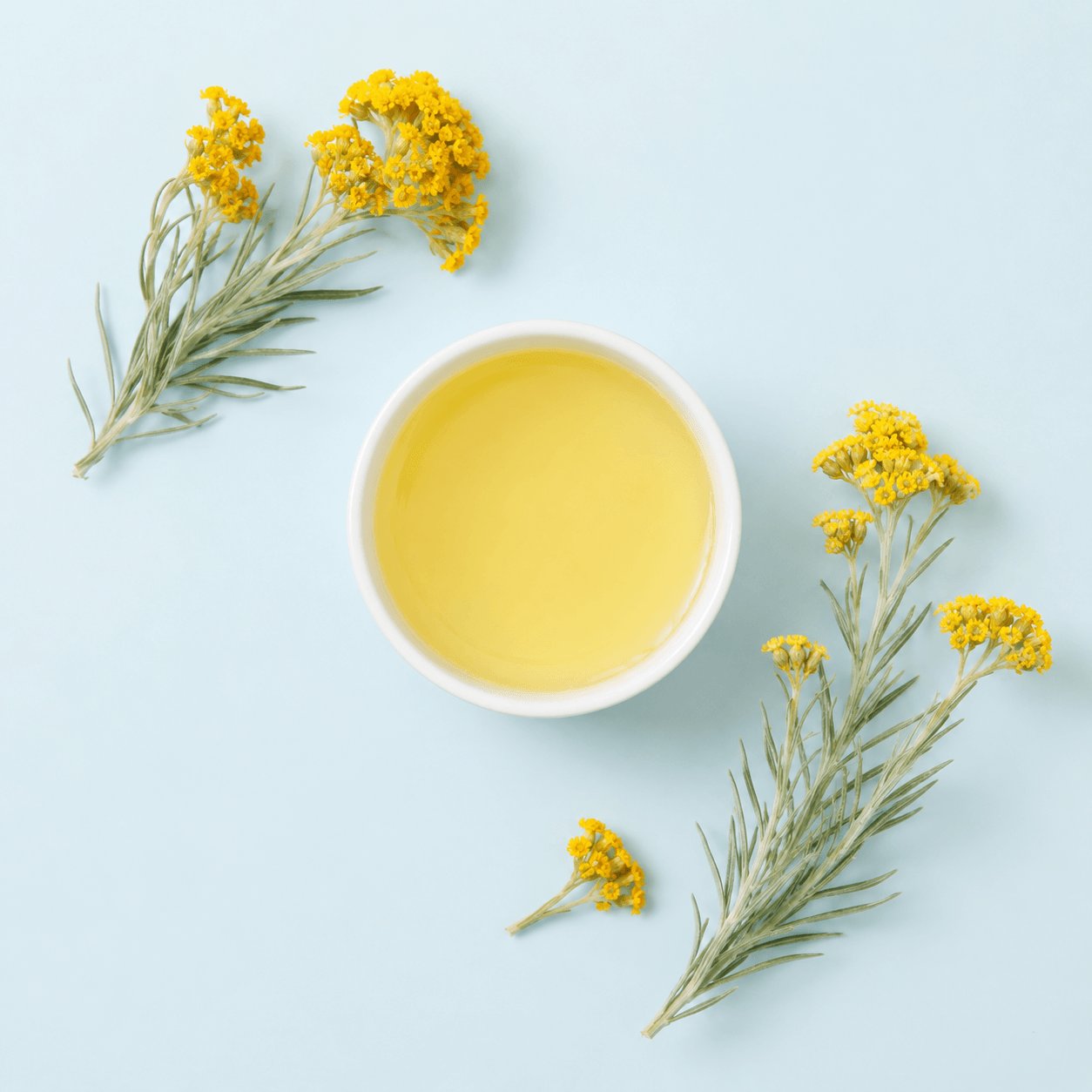 Helichrysum / Immortelle (Helichrysum italicum)