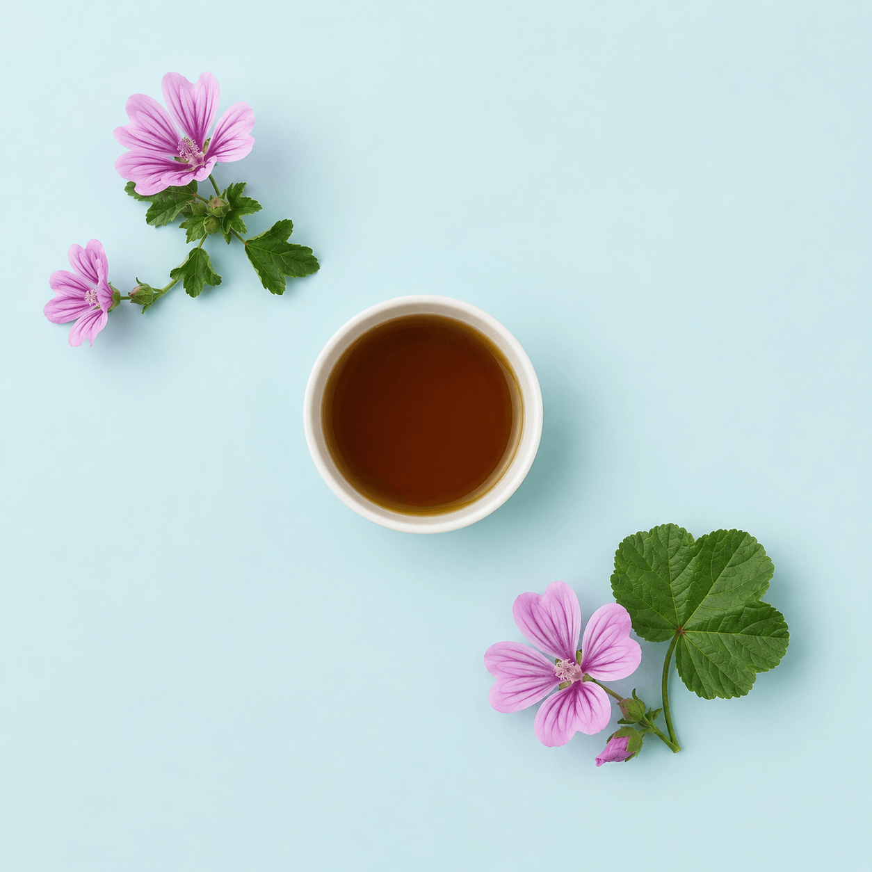 Mallow — Malva sylvestris