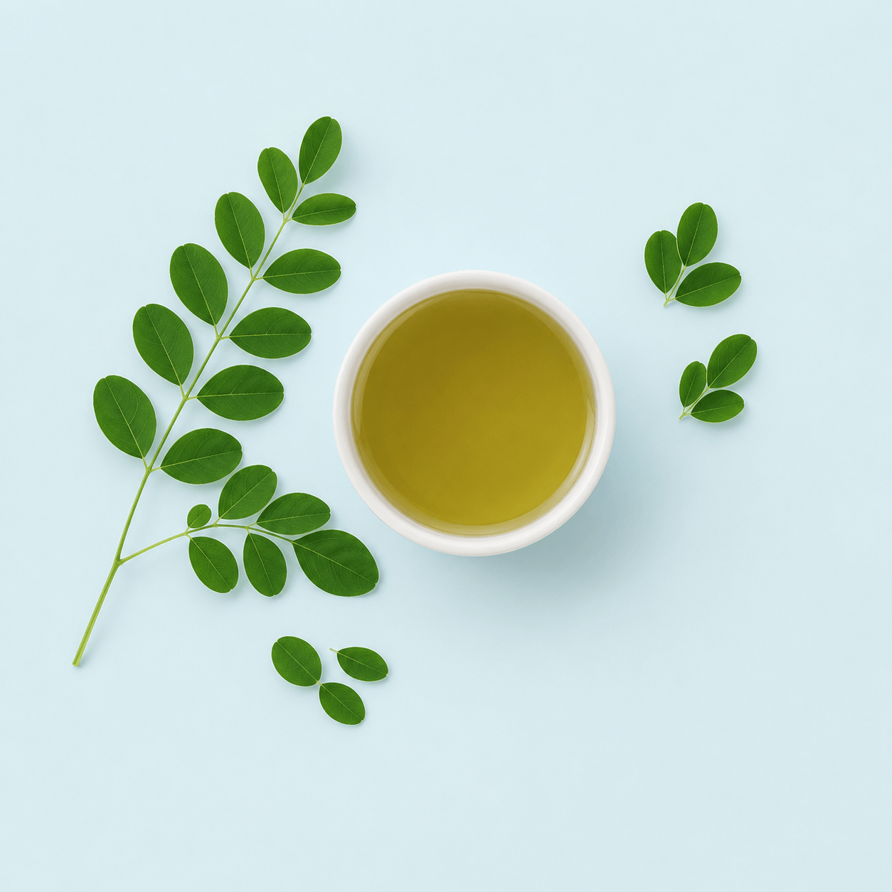 Moringa leaf — Moringa oleifera