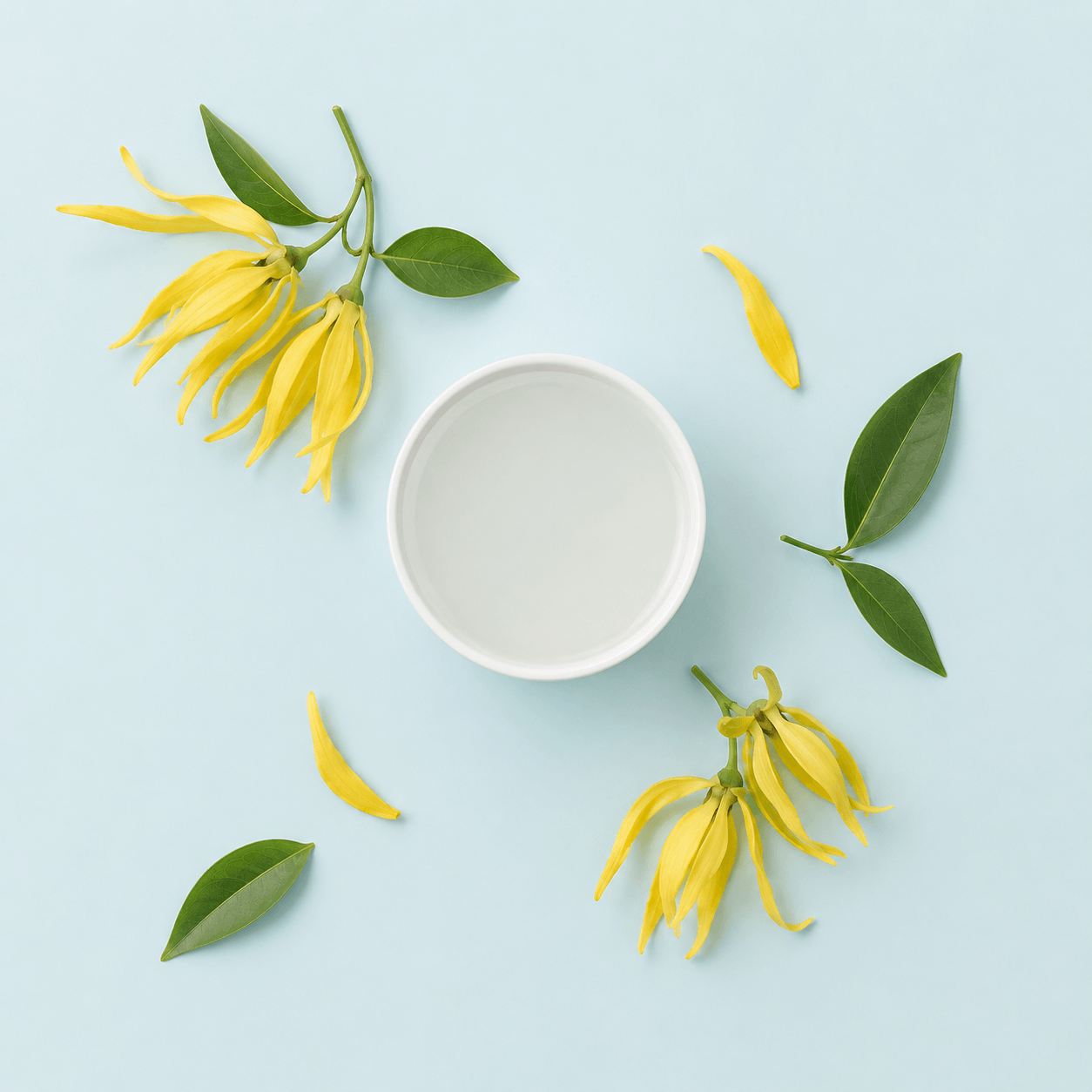 Natural Ylang Ylang Hydrosol