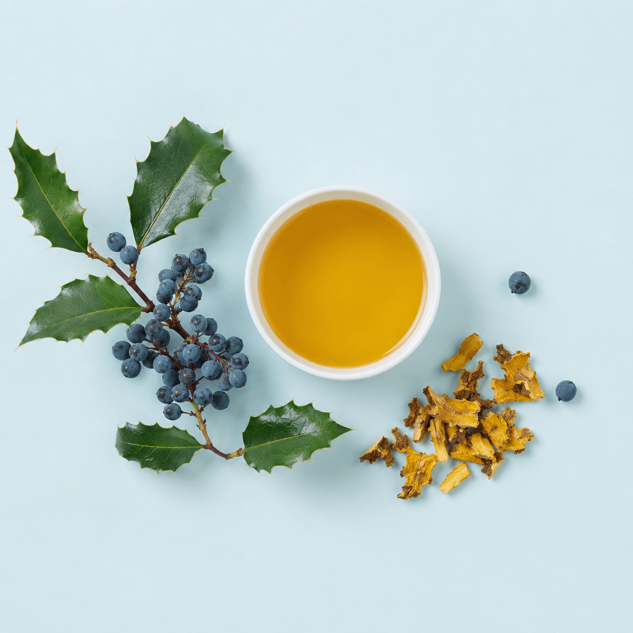 Oregon Grape — Mahonia aquifolium