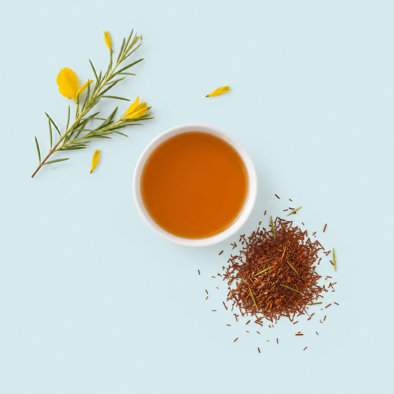 Rooibos (Aspalathus linearis)