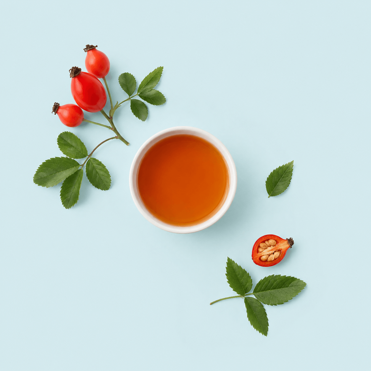 Rosehip shells (Rosa canina)