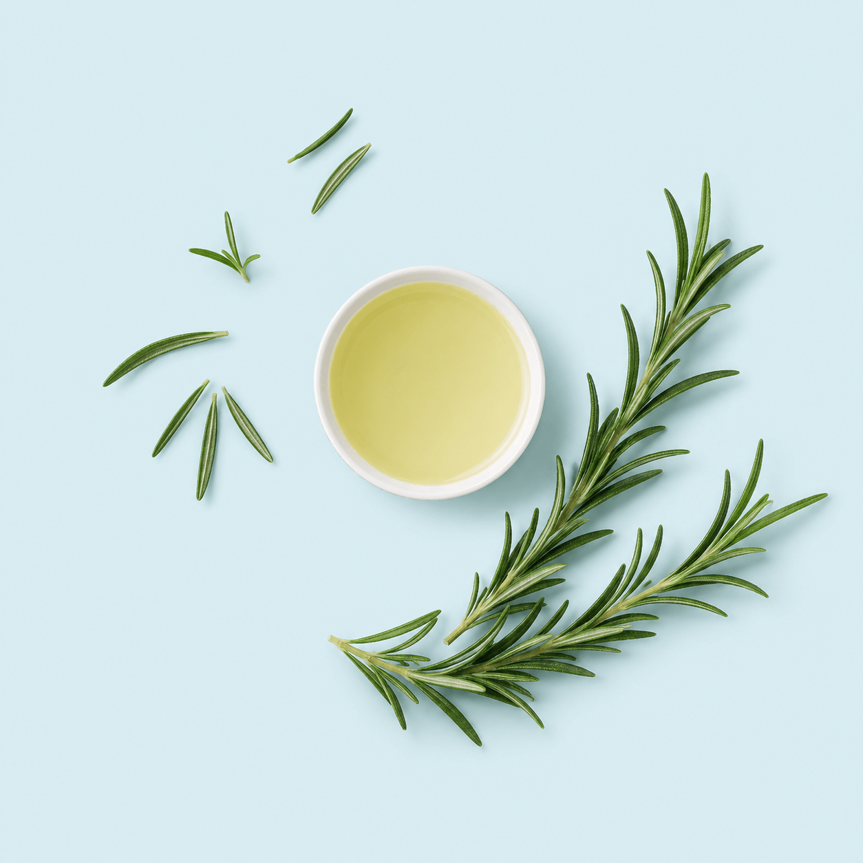 Rosemary — Rosmarinus officinalis