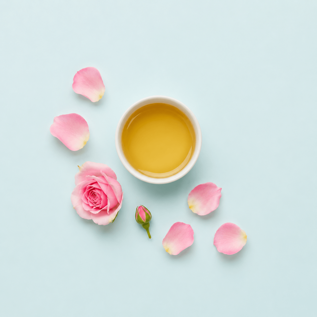 Rose petals (Rosa spp.)