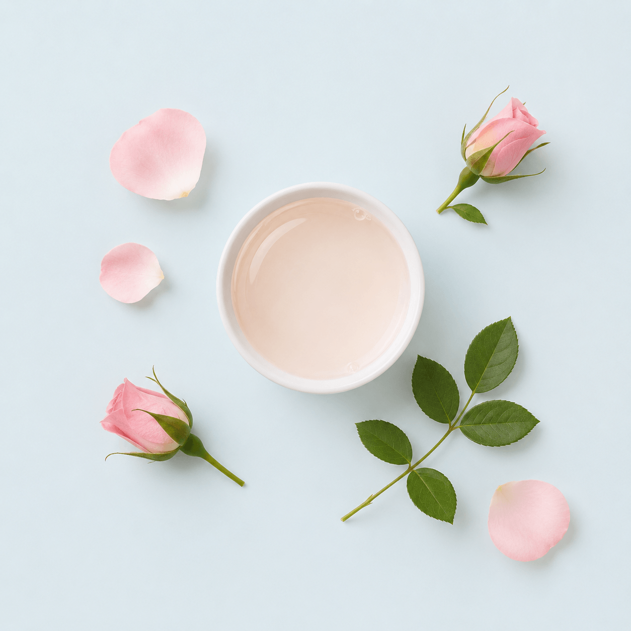 Rose — Rosa spp.