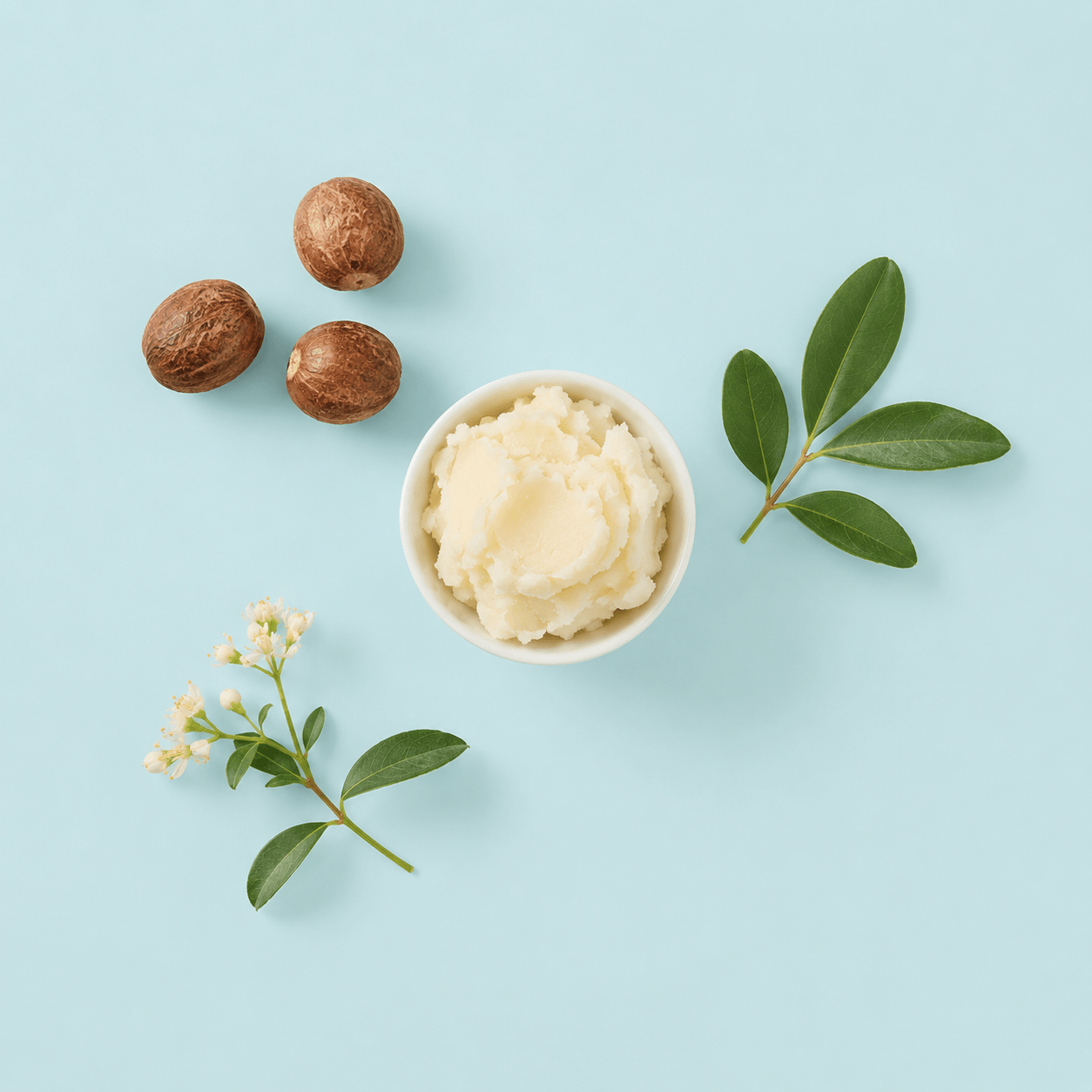 Shea Nut Butter - Natural