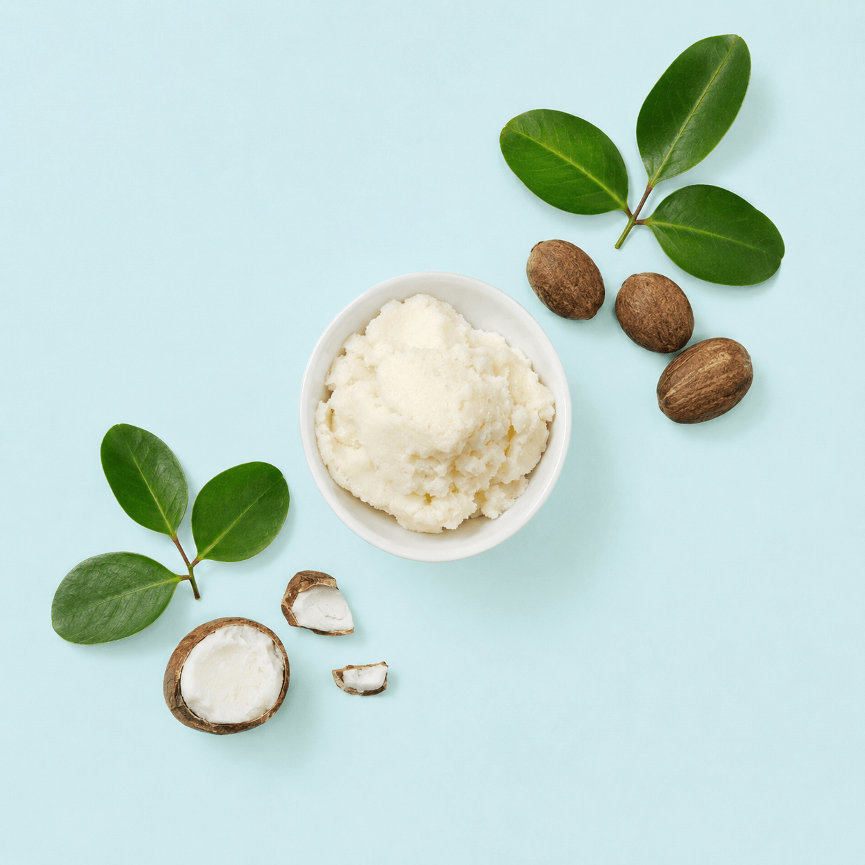 Shea Nut Butter - Virgin Organic