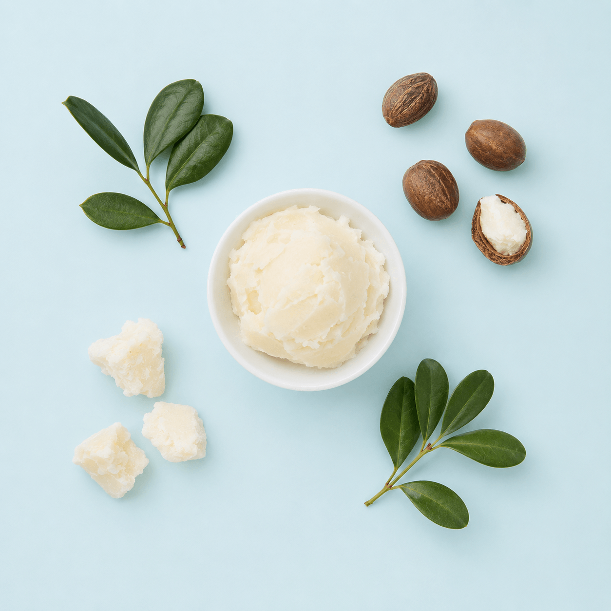 Shea Nut Butter - White Refined Organic