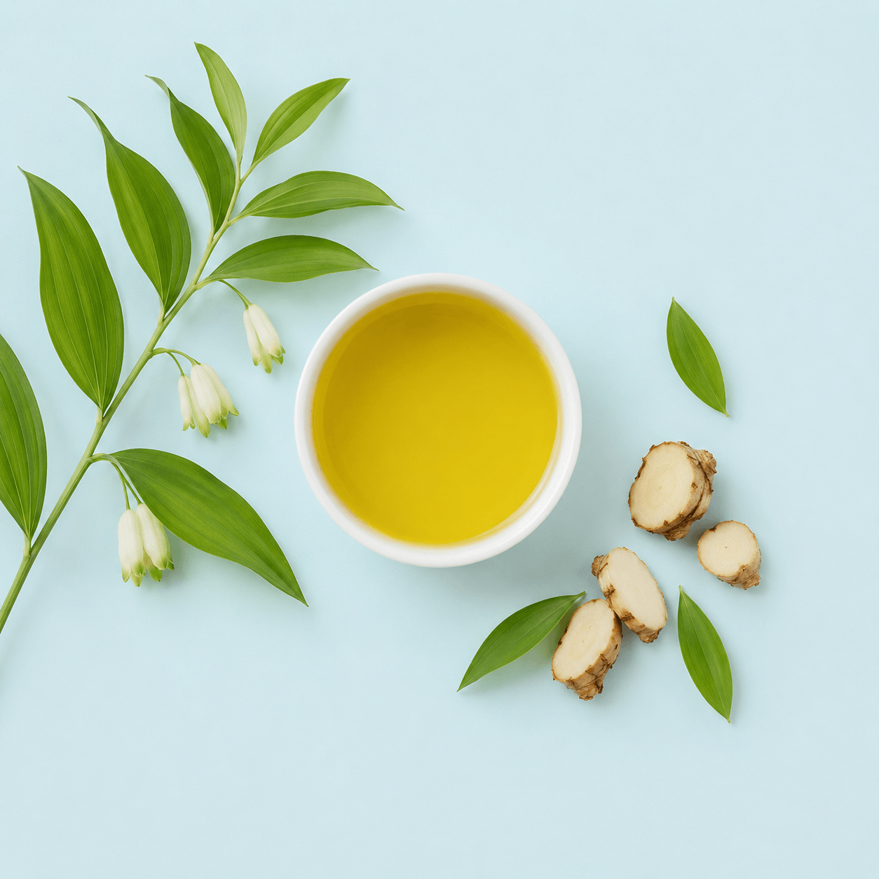 Solomon’s seal (Polygonatum spp.)