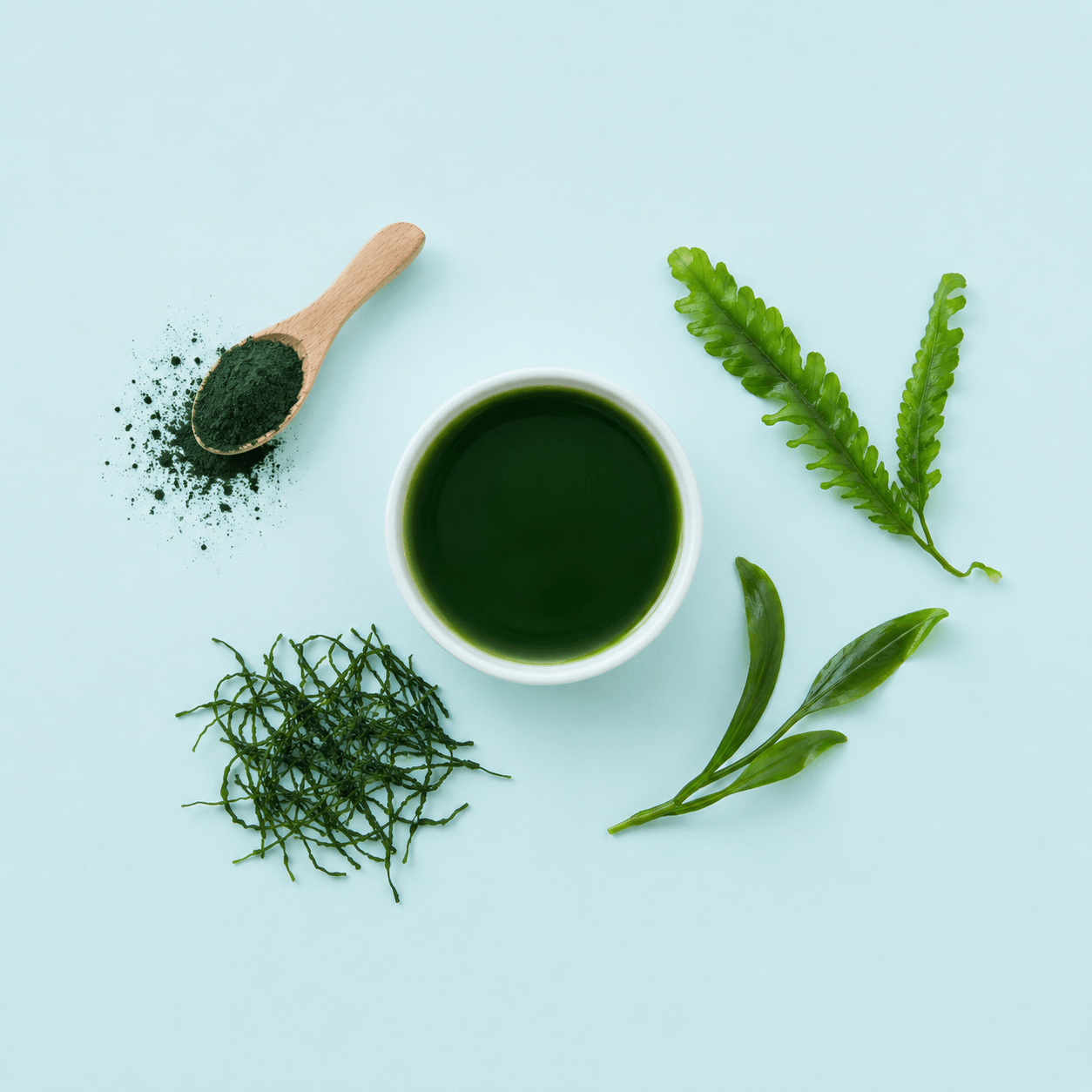 Spirulina — Arthrospira platensis
