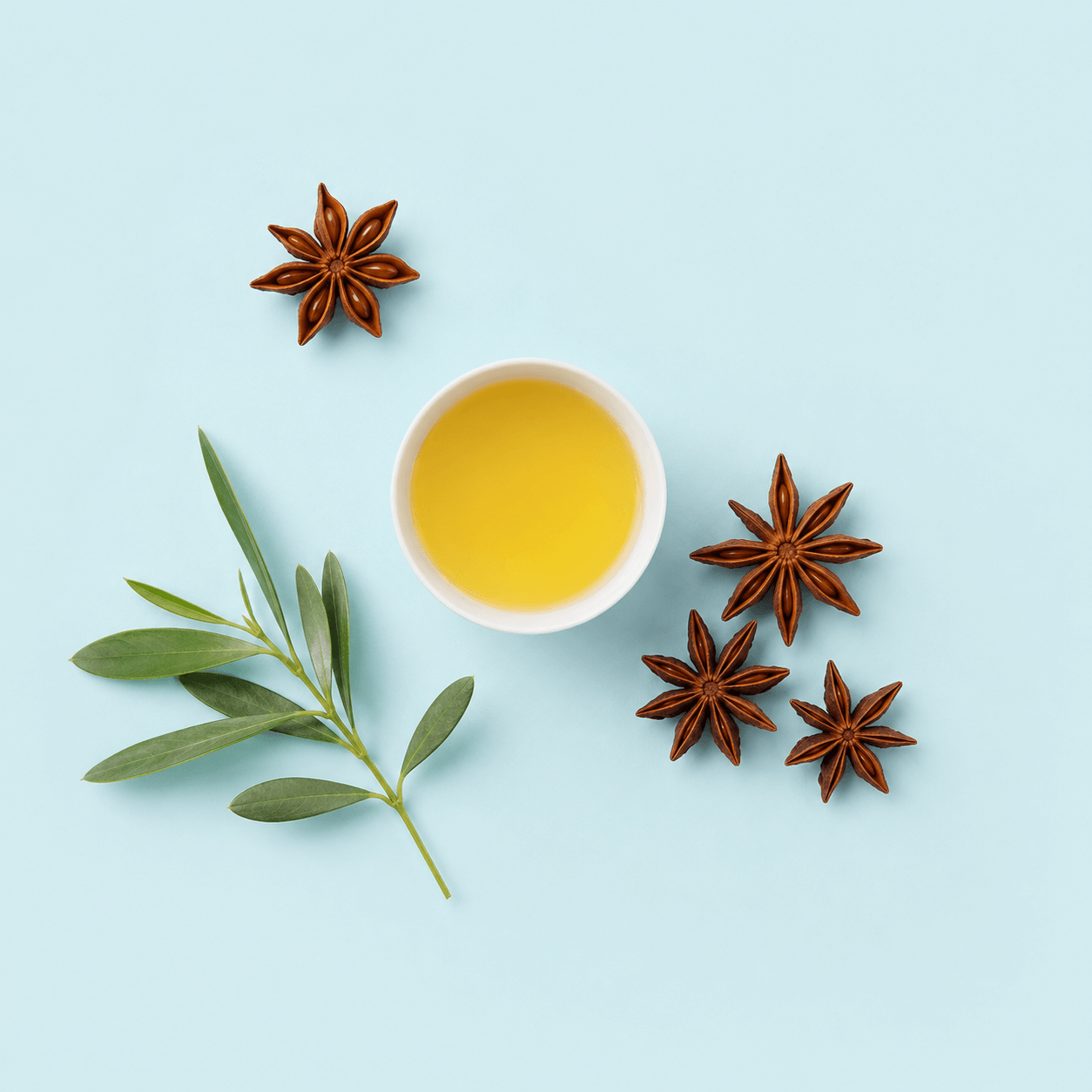 Star anise (Illicium verum)