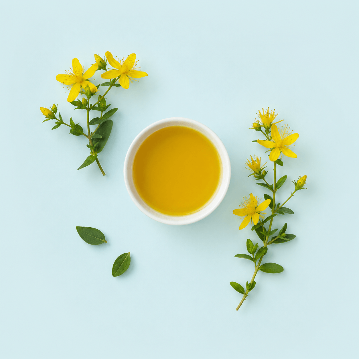 St. John’s wort (Hypericum perforatum)