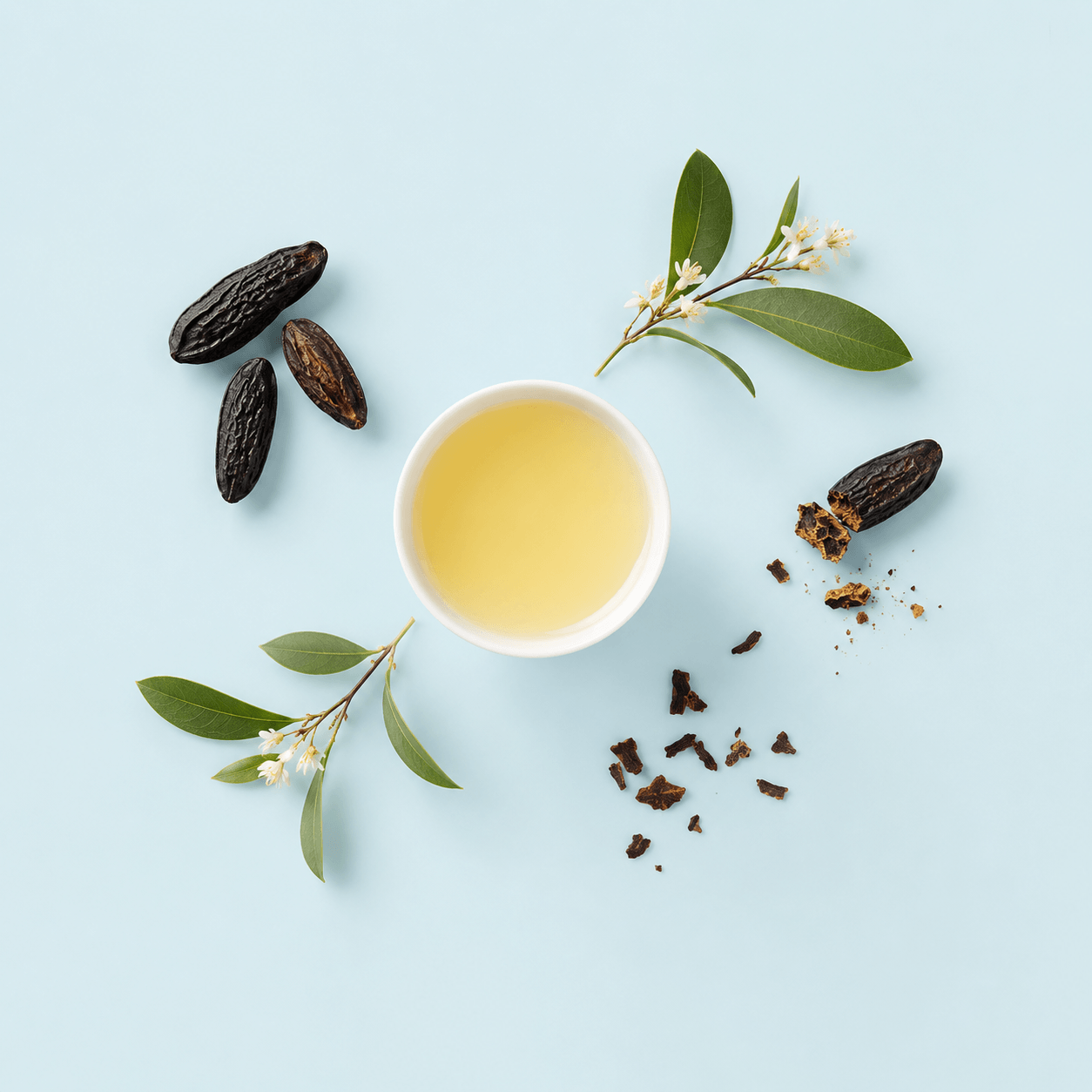 Tonka bean (Dipteryx odorata)