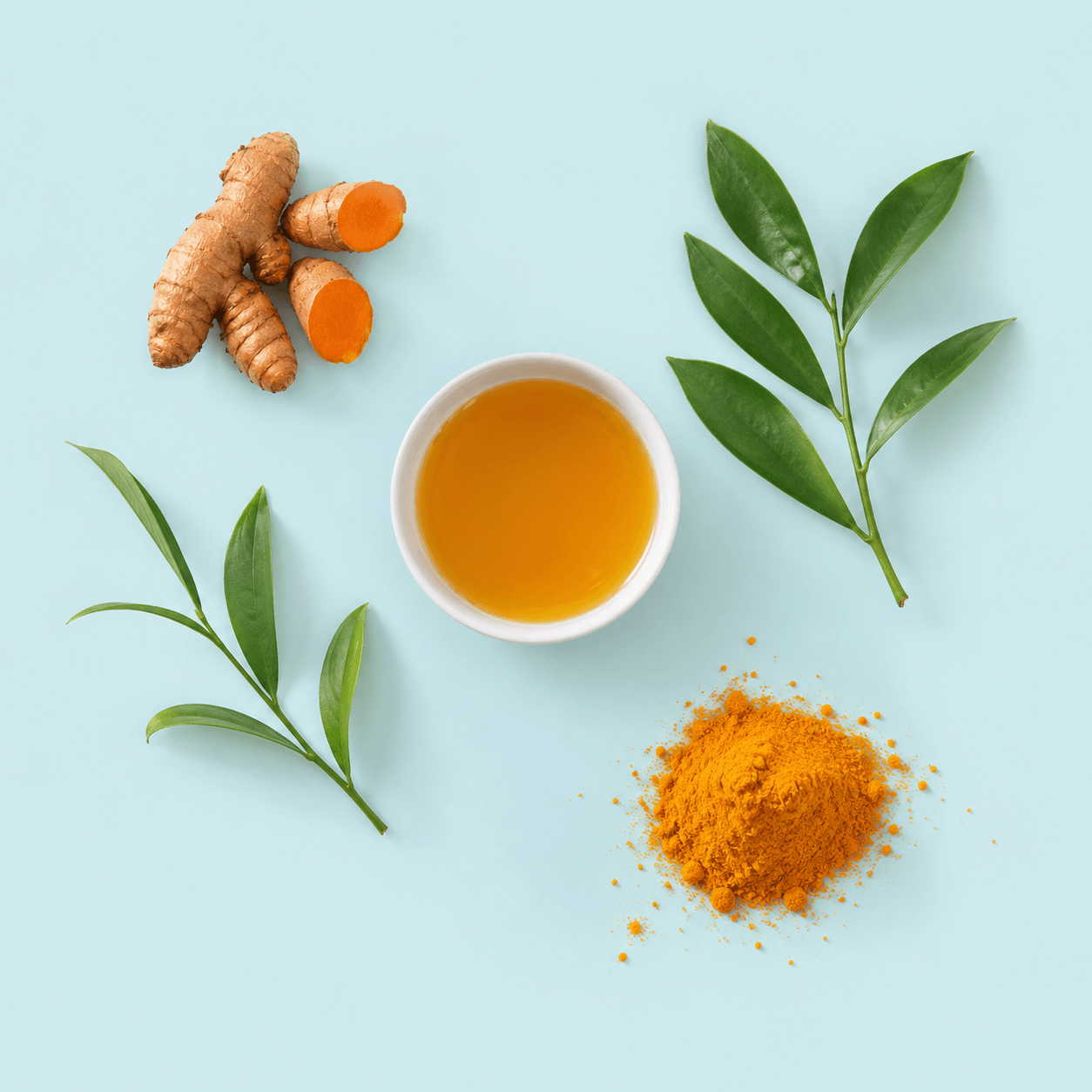 Turmeric (Curcuma longa)