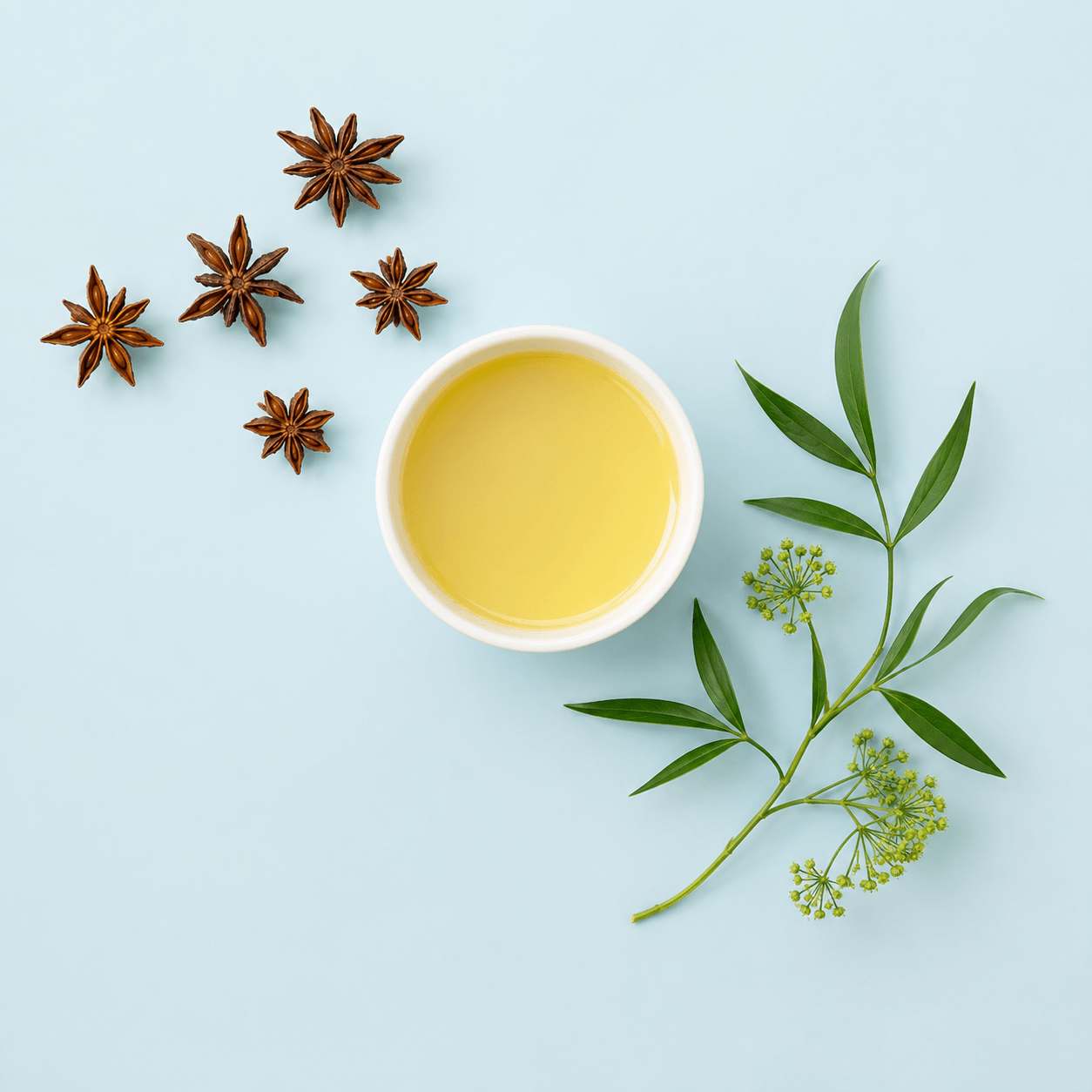 Anise Massage Oil Blend