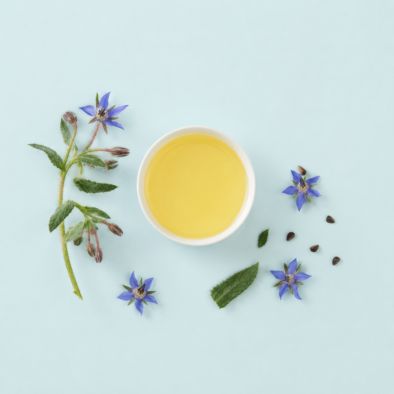 Borage Seed Oil Massage Blend