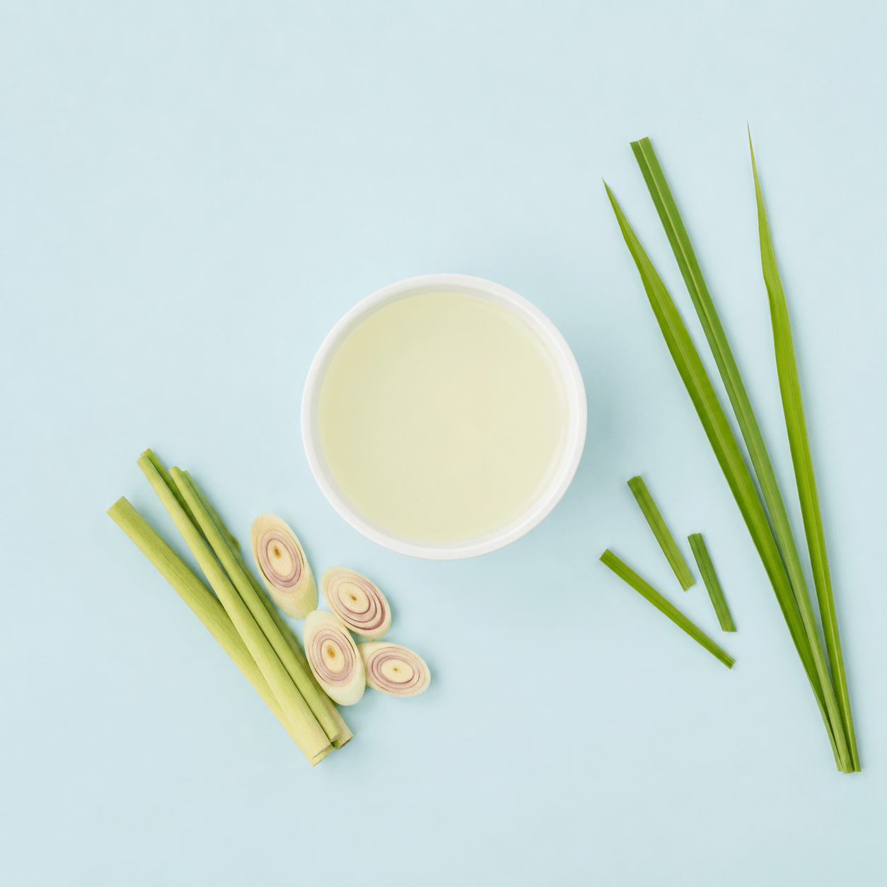 Citronella Mist - Organic