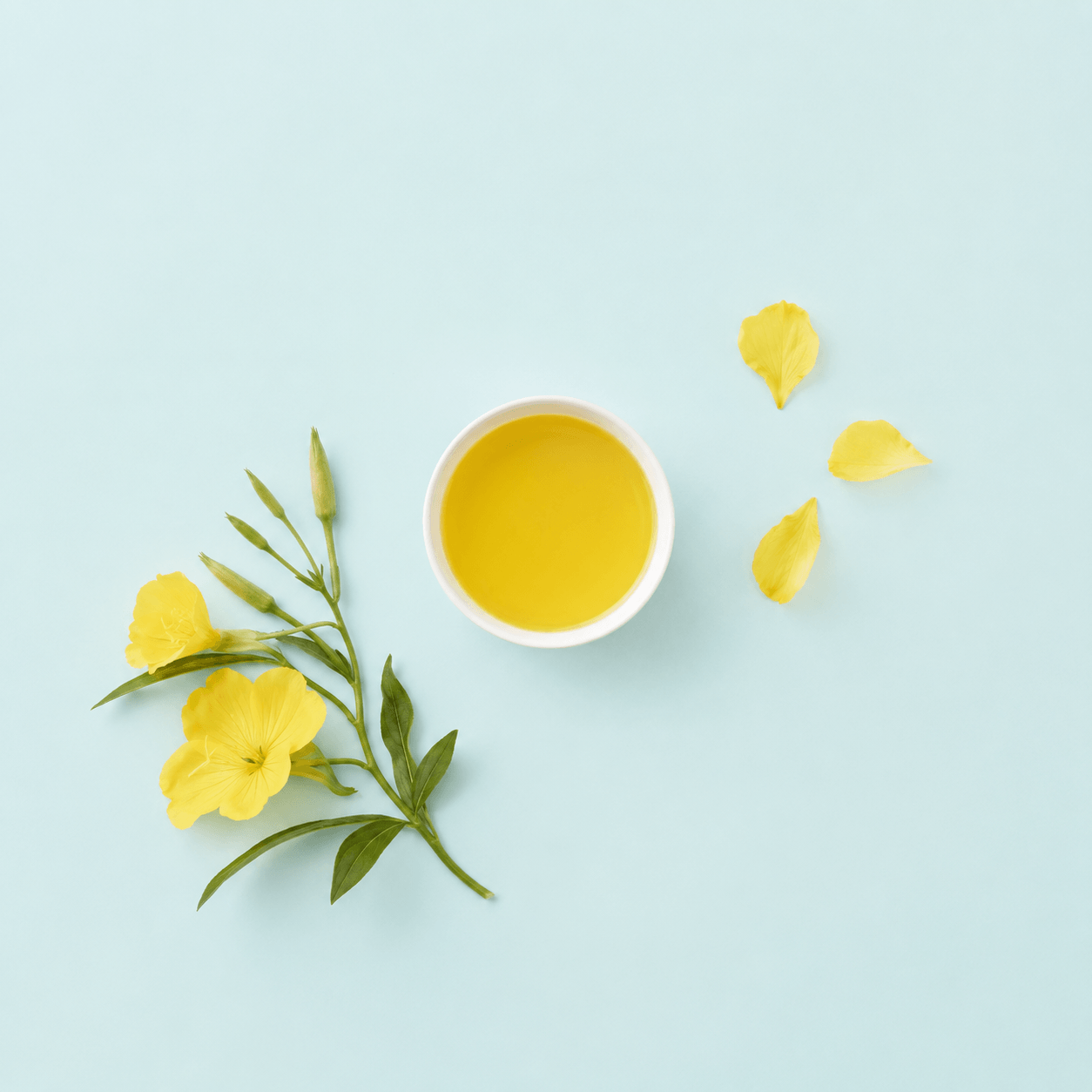 Evening Primrose Massage Oil Blend