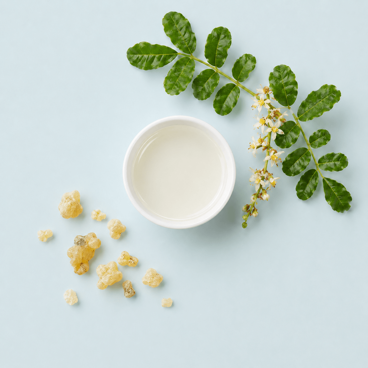 Frankincense Mist - Organic