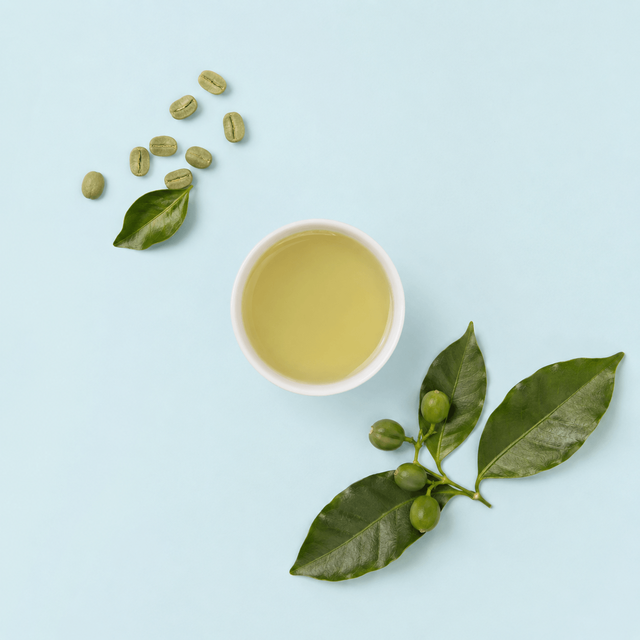 Green Coffee Bean Massage Oil Blend