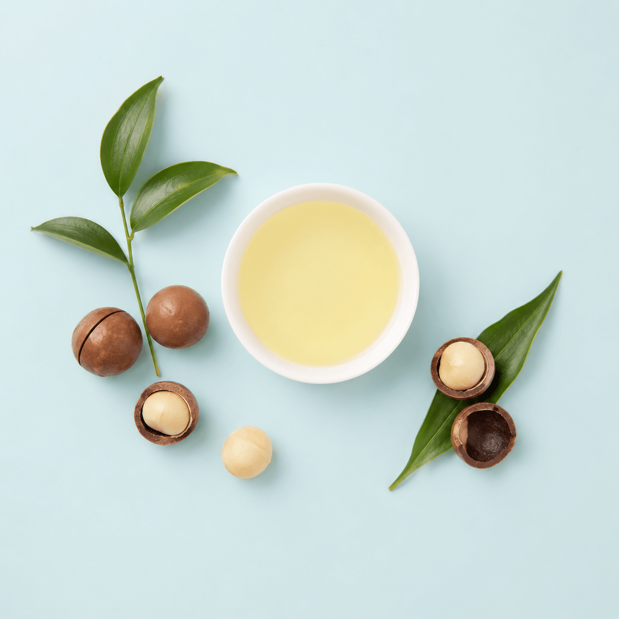 Macadamia Massage Oil Blend