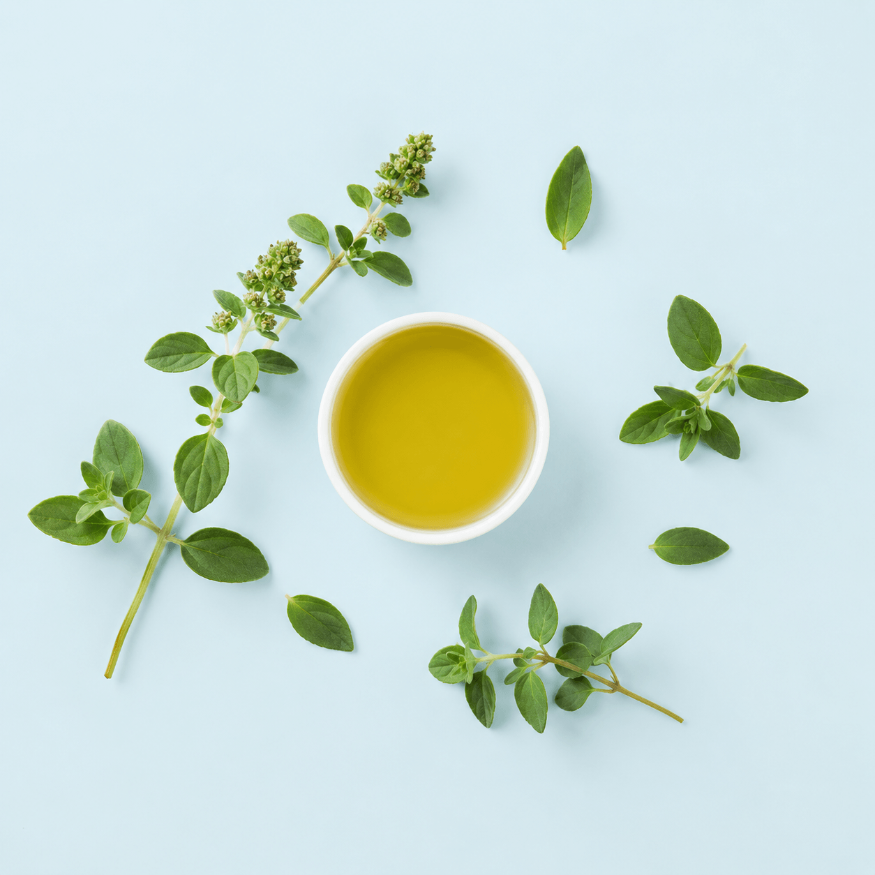 Oregano Massage Oil