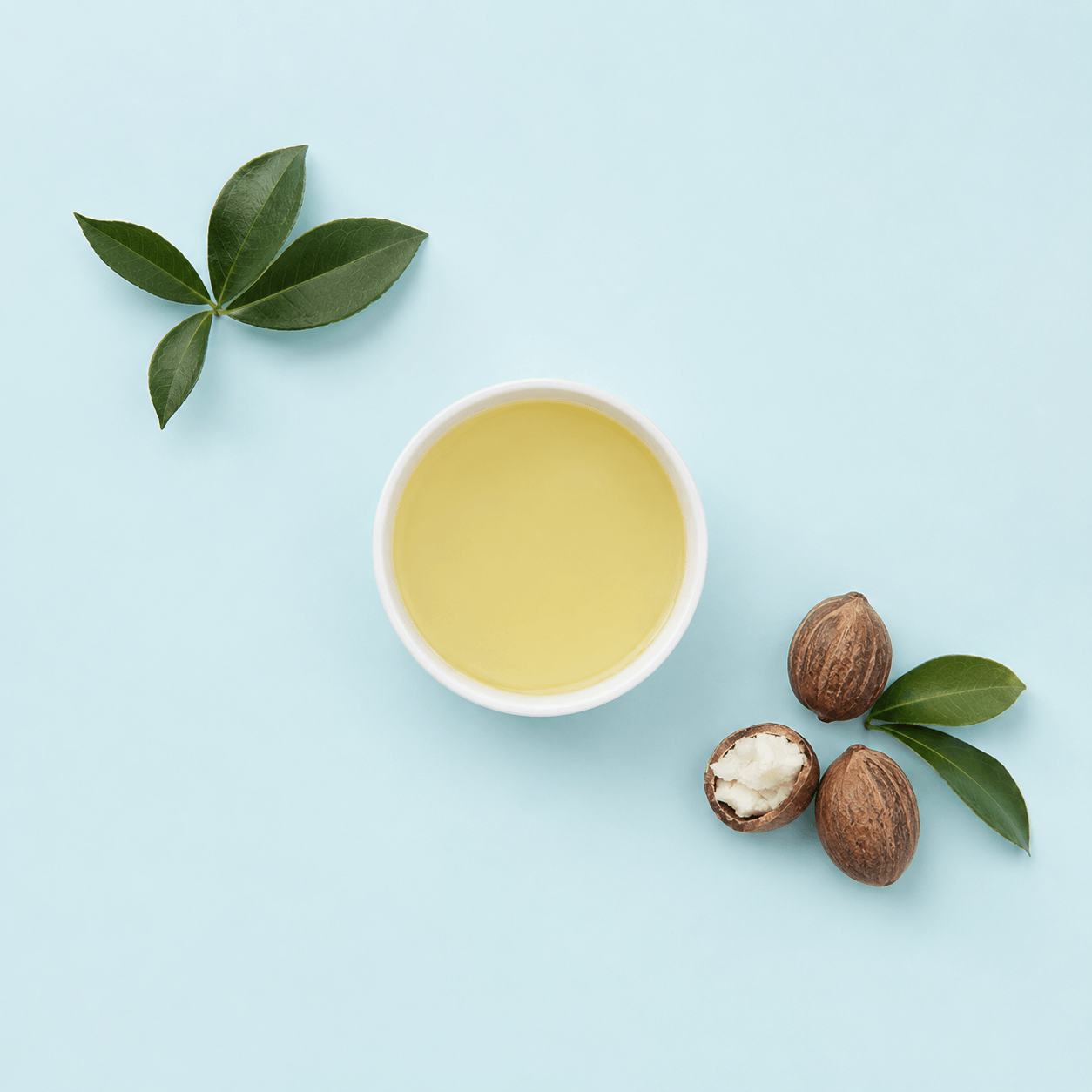 Shea Butter Massage Oil Blend