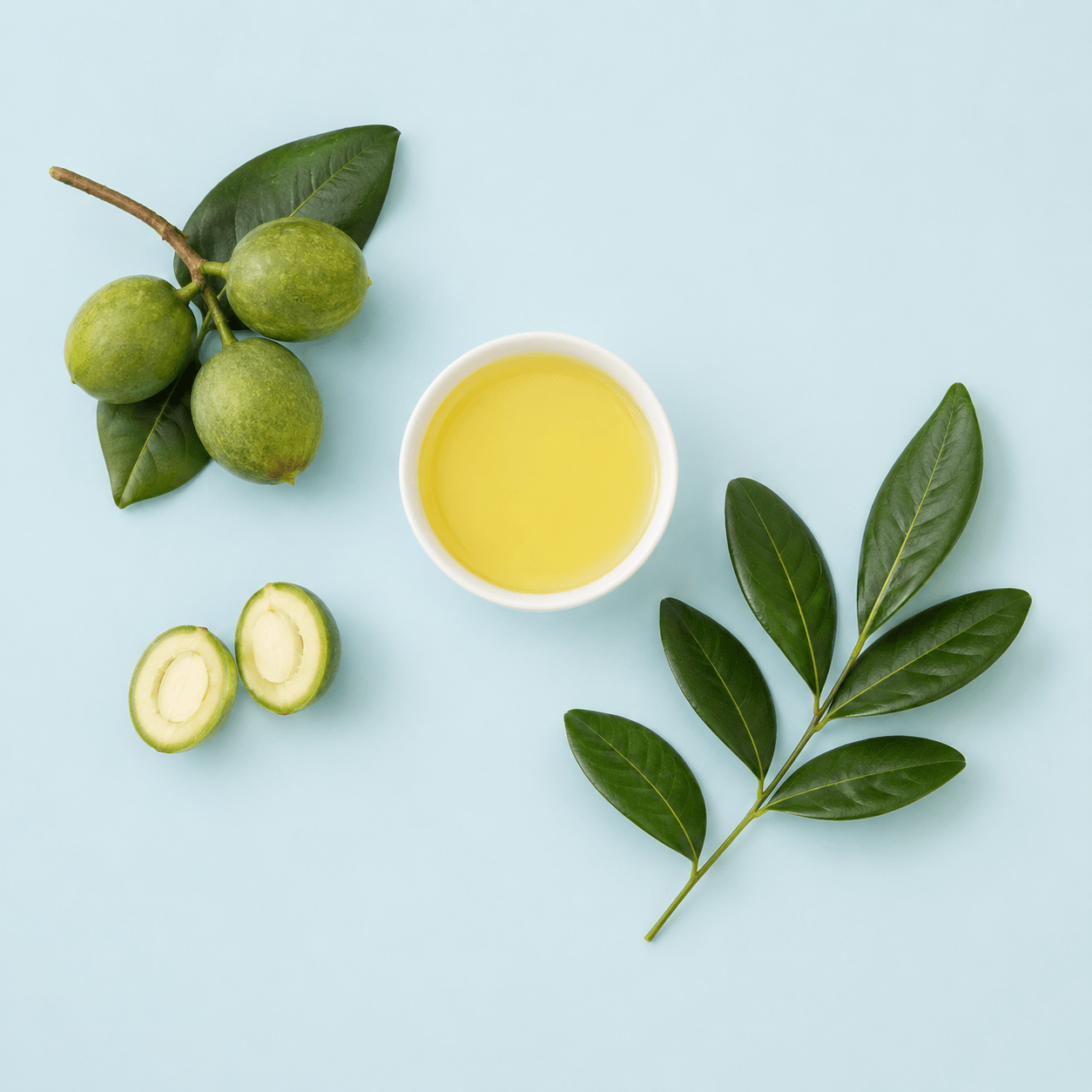 Tamanu Massage Oil Blend