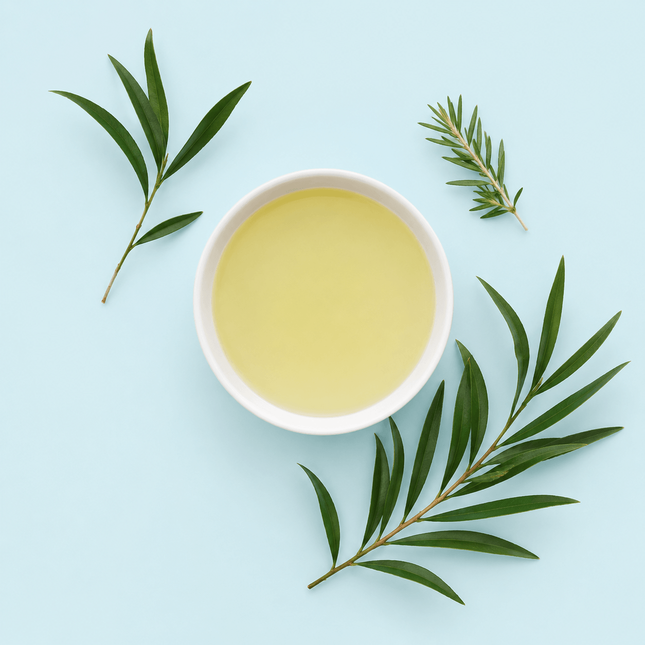 Tea Tree Massage Oil