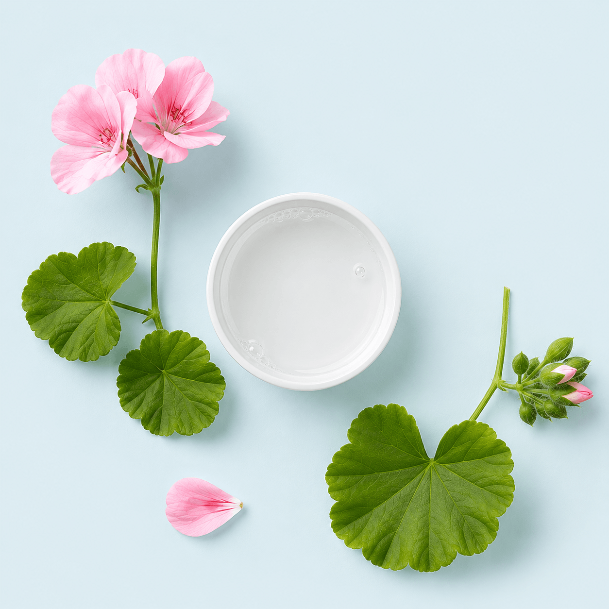 Toning Geranium Mist - Organic