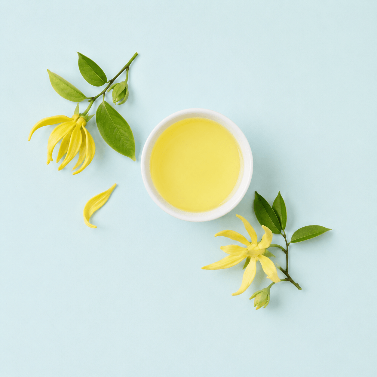 Ylang Ylang Massage Oil
