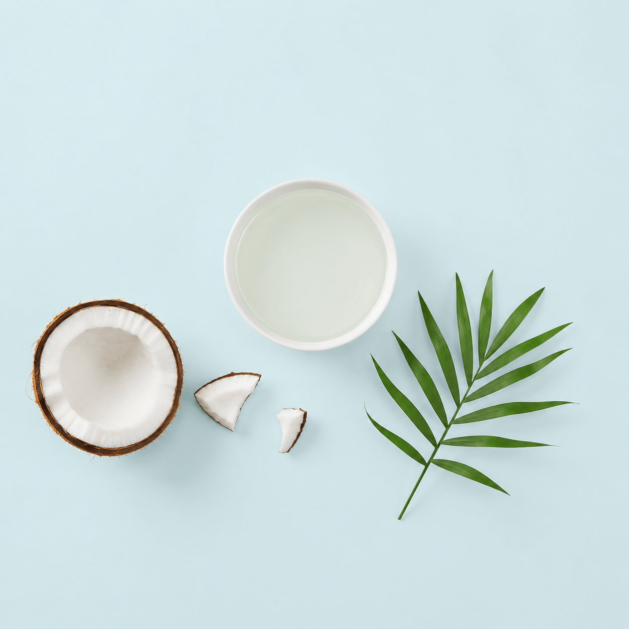 Organic MCT Coconut Oil - Certified Organic