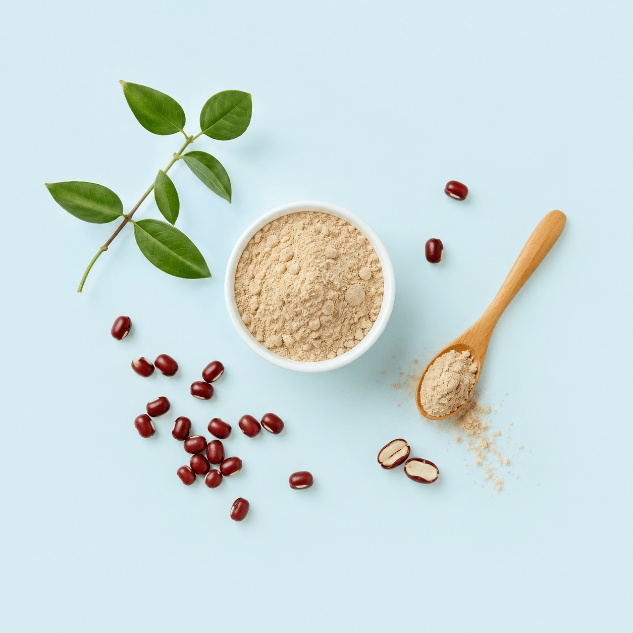 Adzuki Bean — Vigna angularis