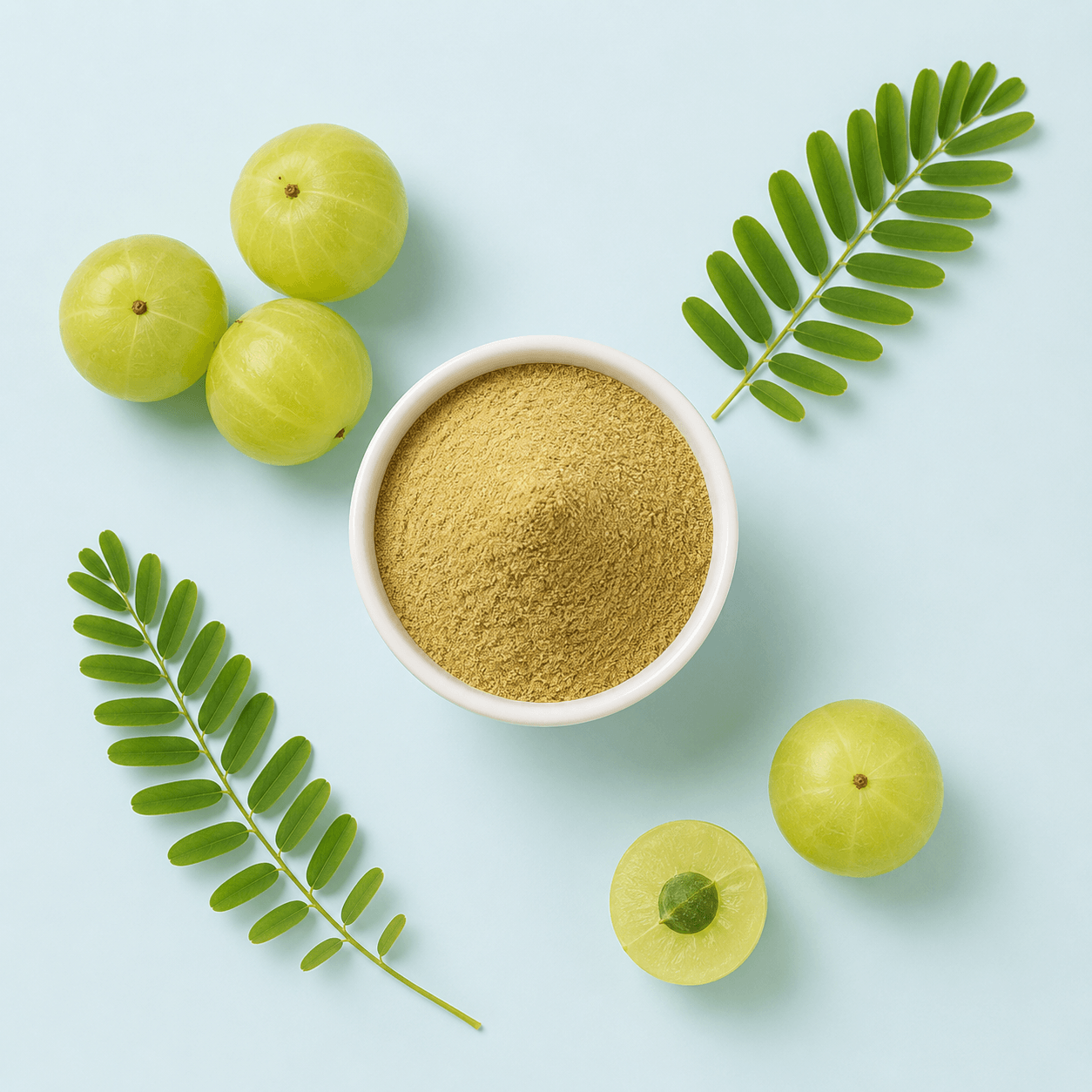 Amla — Phyllanthus emblica (syn. Emblica officinalis)