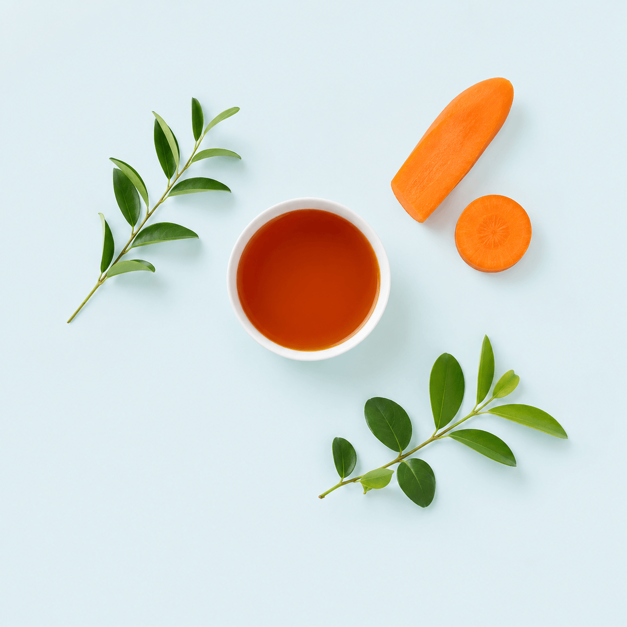 Beta-Carotene 10% CWS/S