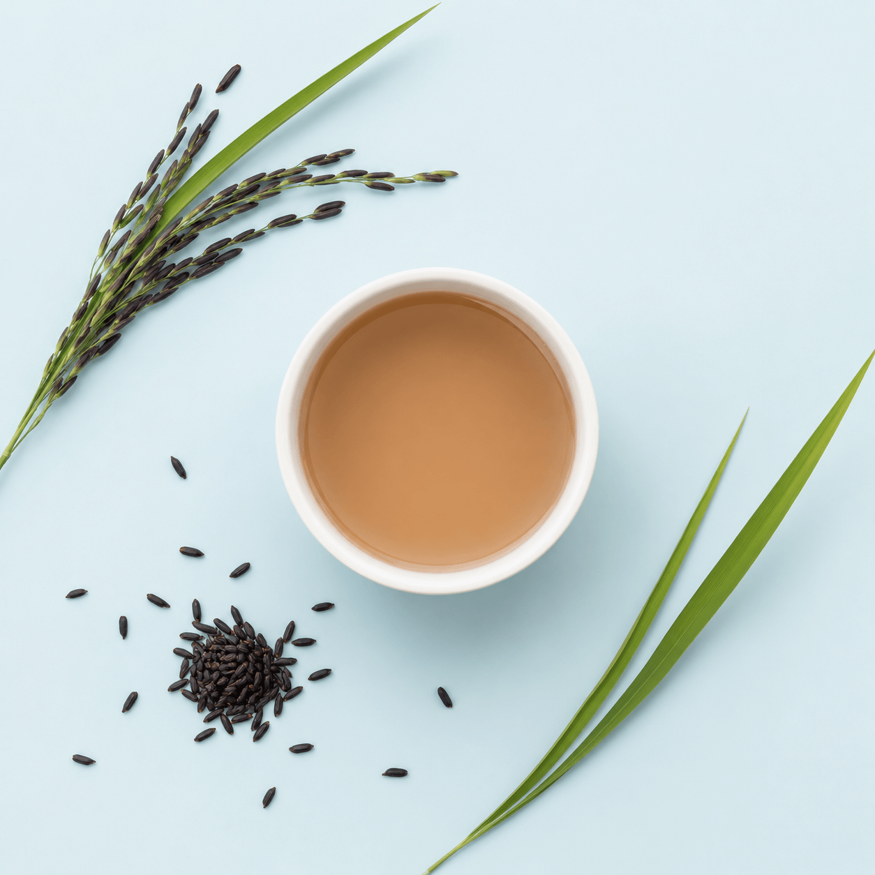 Black Rice Water — Oryza Sativa Var. Indica