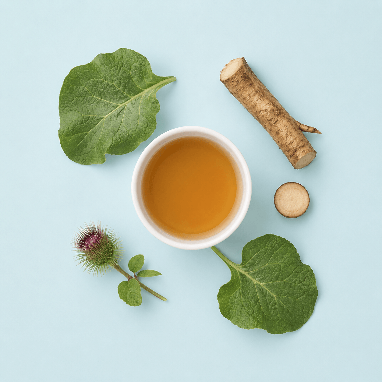 Burdock (Arctium lappa)
