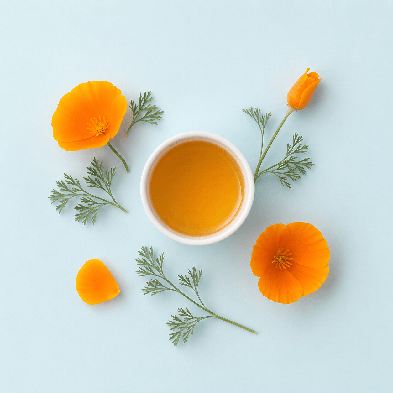 California Poppy — Eschscholzia californica