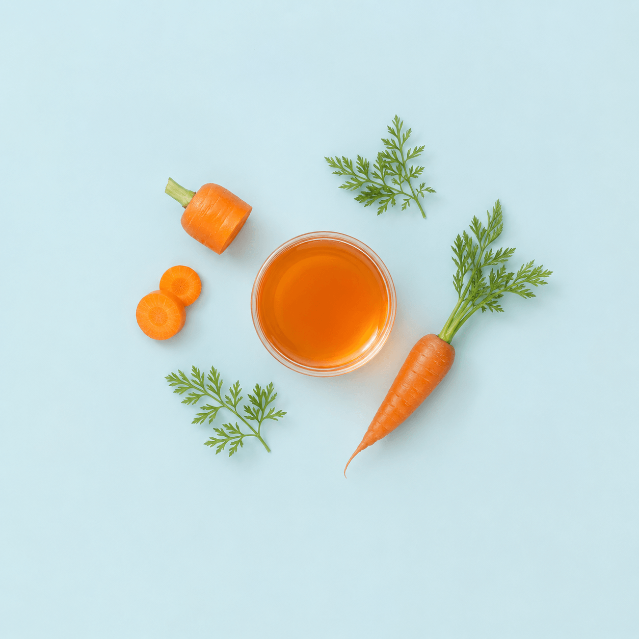 Carrot root (Daucus carota)